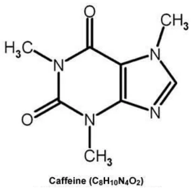 金龙迎宾·(中国)有限公司官网