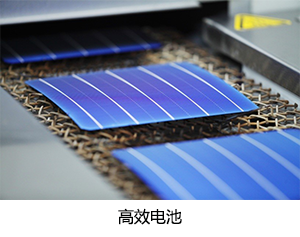 金龙迎宾·(中国)有限公司官网