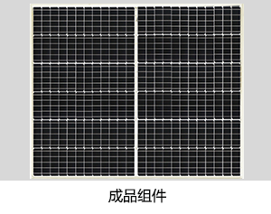 金龙迎宾·(中国)有限公司官网