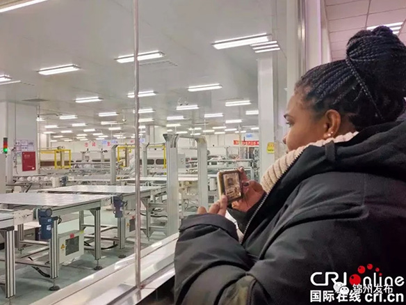 金龙迎宾·(中国)有限公司官网