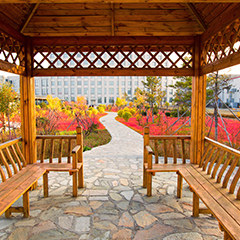 金龙迎宾·(中国)有限公司官网