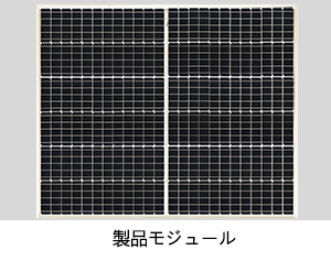 金龙迎宾·(中国)有限公司官网