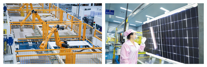 金龙迎宾·(中国)有限公司官网