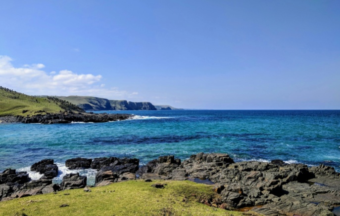 金龙迎宾·(中国)有限公司官网