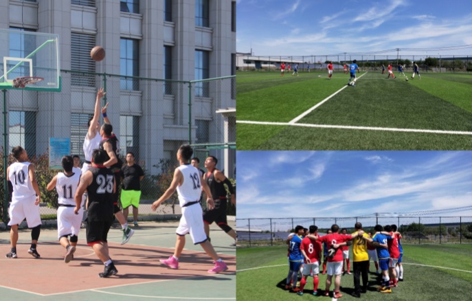 金龙迎宾·(中国)有限公司官网