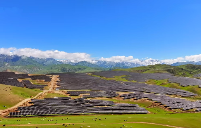 金龙迎宾·(中国)有限公司官网