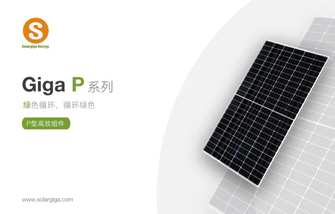 金龙迎宾·(中国)有限公司官网