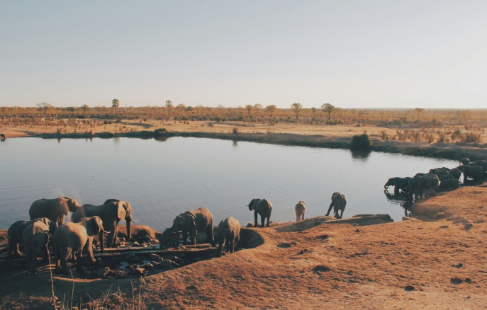 金龙迎宾·(中国)有限公司官网