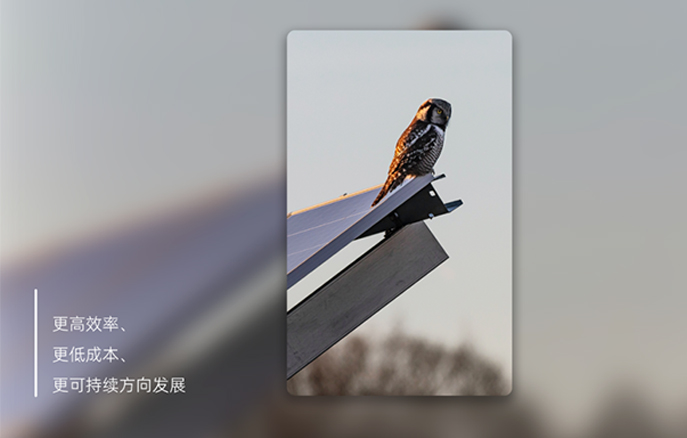 金龙迎宾·(中国)有限公司官网