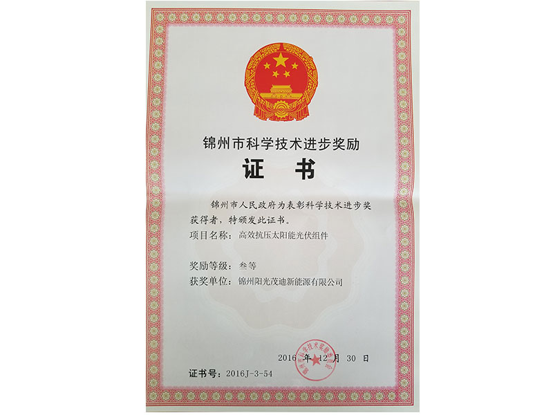 2016 Municipal Third Award