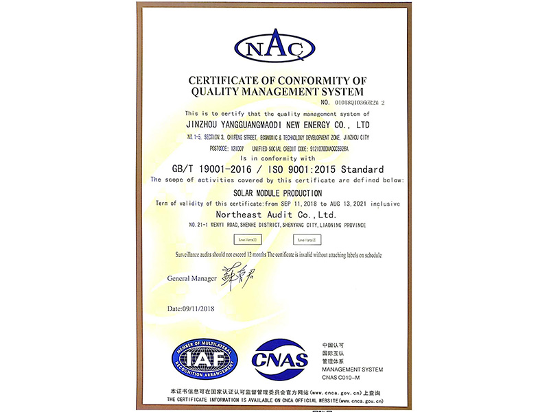 Certificate of Conformity of Quality Management System （English）
