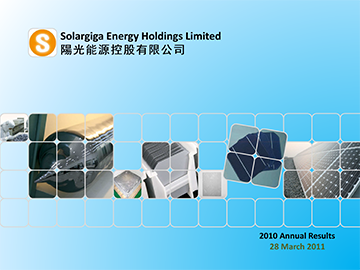 2010年年度業績投資者演說