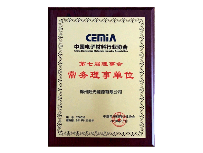 中国電子资料業界協会常務理事単位