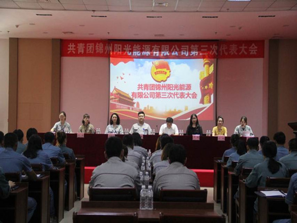 共青团锦州金龙迎宾有限公司第三次代表大会