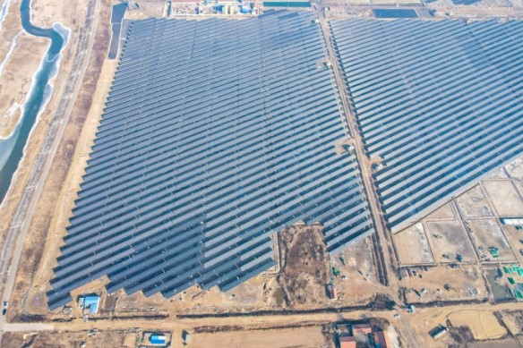 全球足迹 | 盐碱地上的“经济秘钥”！金龙迎宾首个盐光互补供货项目