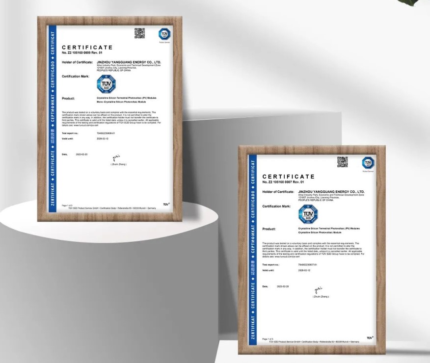 高光时刻 | 金龙迎宾N型TOPCon全系列产品获TÜV南德认证