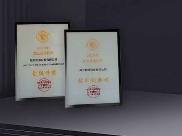 高光时刻 | 金龙迎宾获N型TOPCon金组件奖及技术创新奖双料奖项