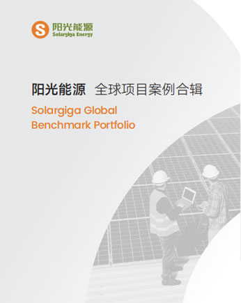 金龙迎宾项目案例合辑