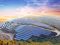 金龙迎宾·(中国)有限公司官网